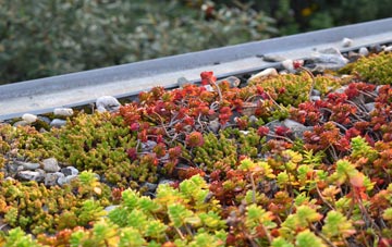 the cost of Paulsgrove green roof installation