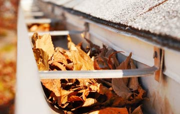 Paulsgrove gutter cleaning companies