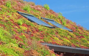 Paulsgrove living roof systems