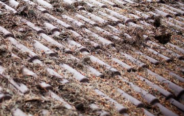 Paulsgrove roof cleaning companies