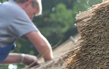 professional Paulsgrove thatchers