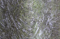 Paulsgrove fibreglass roof work